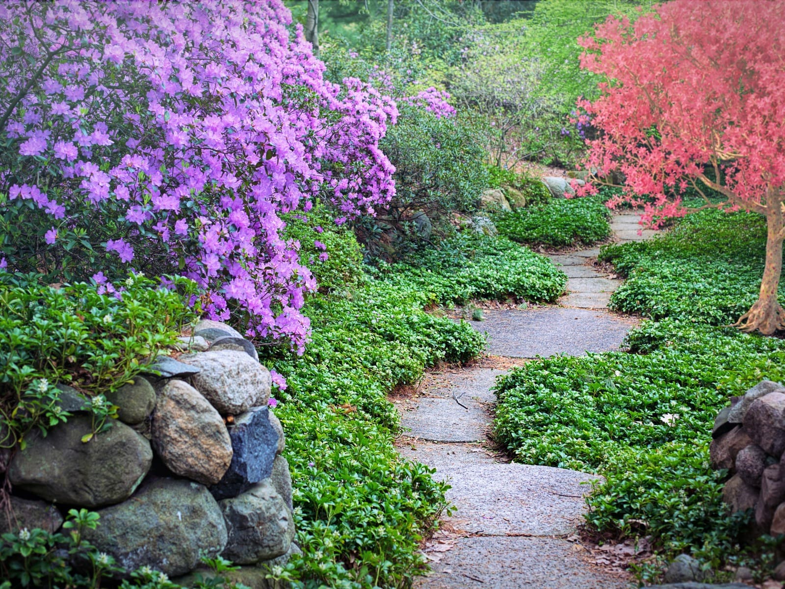Ycon Platinum Heights — Landscaped Garden